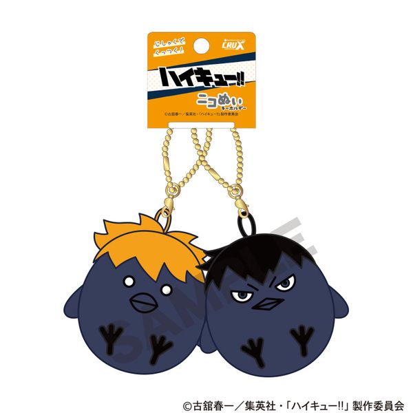 ��ͽ����7����ܤ��缡ȯ���ۥϥ����塼!!���˥��̤������ۥ�������ҥʥ��饹���������饹