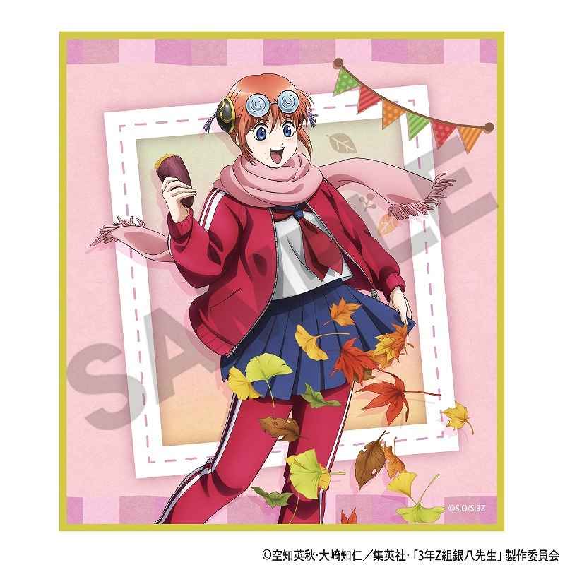 3ǯZ�ȶ�Ȭ�������ȥ졼�ǥ��󥰥ߥ˿��桲�Ƥ���