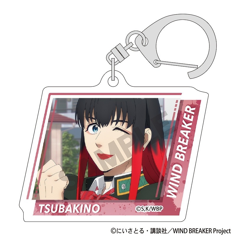 ͽ8ȯWIND BREAKERBOXۥȥ졼ǥ󥰥륭ۥ