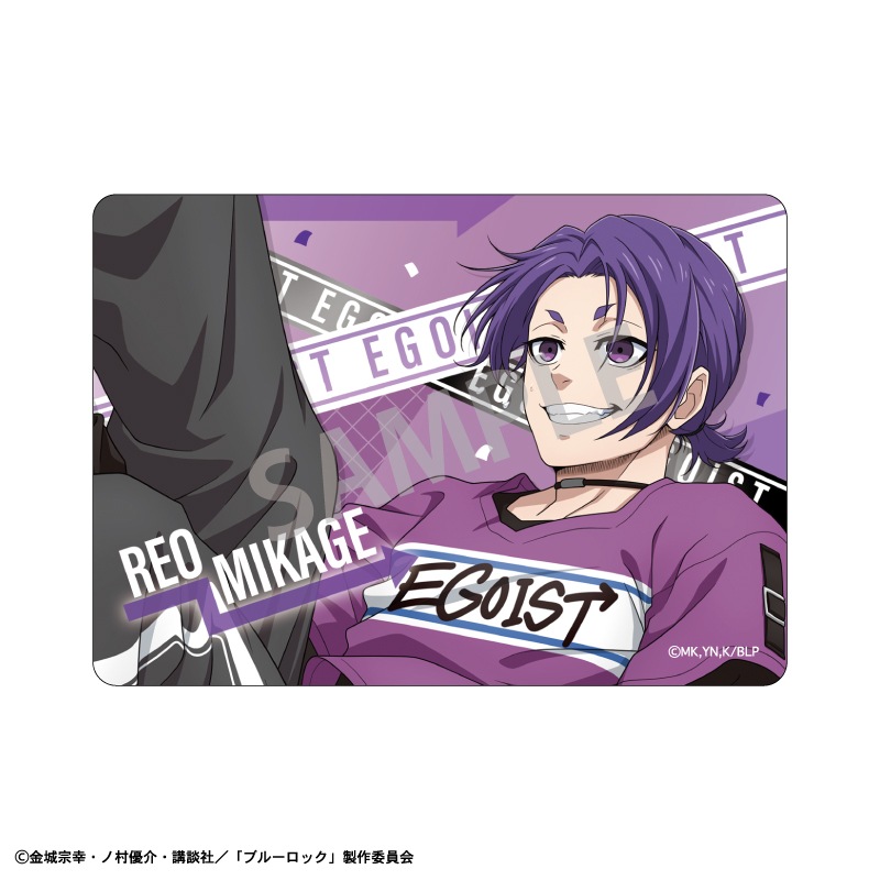 �֥롼���å���Picharm���������Хåȥ��å���