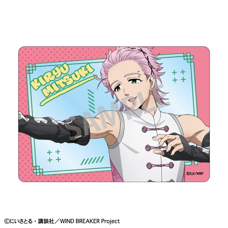 WIND BREAKER��picharm�����㥤�ʥ��������