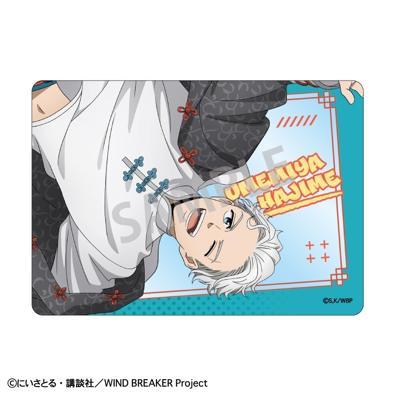 WIND BREAKER��picharm�����㥤�ʥ��������