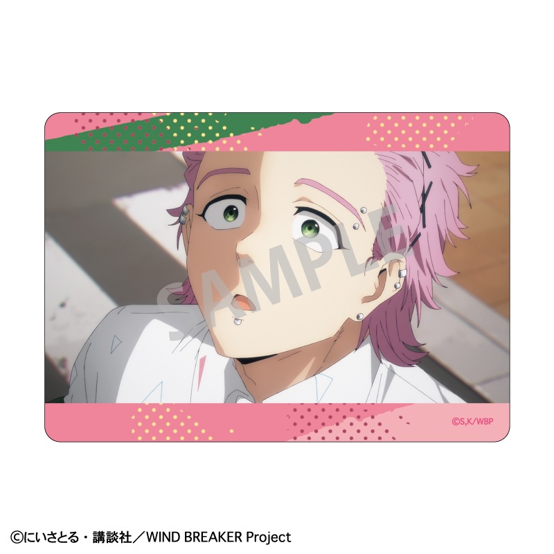 WIND BREAKER��picharm�����㥤�ʥ��������