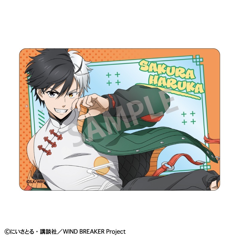 WIND BREAKER��picharm�����㥤�ʥ��������