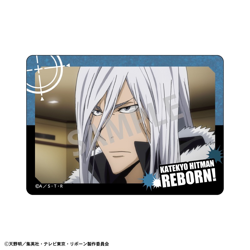 �������եҥåȥޥ�REBORN!��Picharm���ѹ�ե��å����