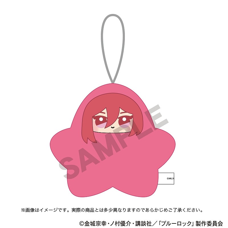 ��ͽ����10����ȯ���ۥ֥롼���å���������ߡ����� ɿ��