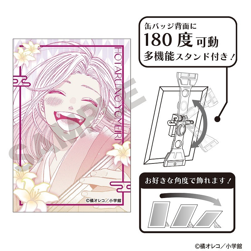 �ۥ���β����ꡡ�����ȴ̥Хå����ͥ�ë���Ի�/A