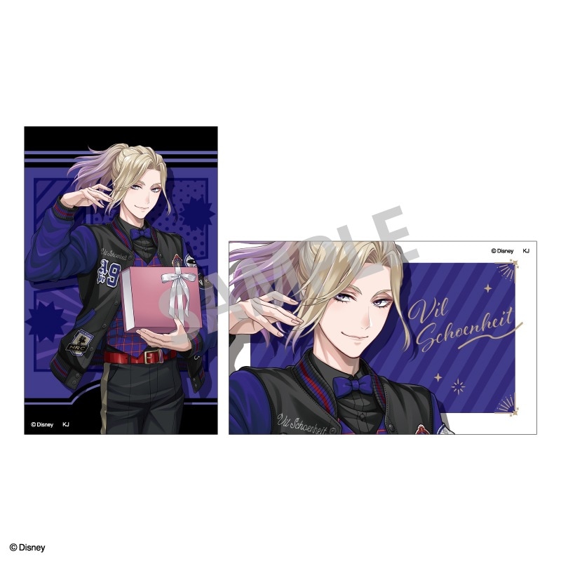 未開封】ツイステッドワンダーランド ヴィル・シェーンハイト