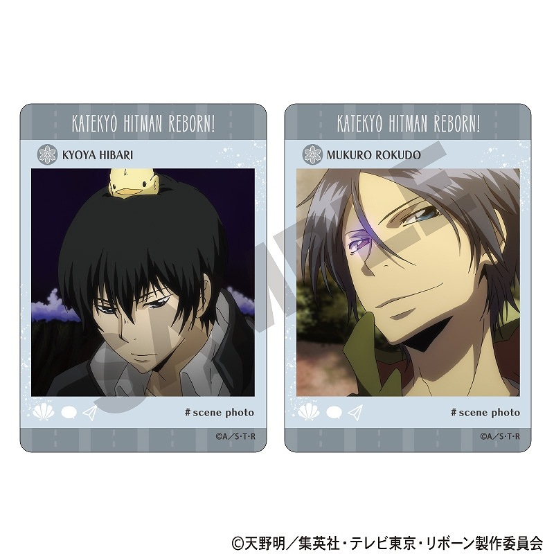 ��ͽ����3�����ȯ���۲������եҥåȥޥ�REBORN!���ȥ졼�ǥ��󥰥ѥΥ�ޥ��ɡ�����ʪ