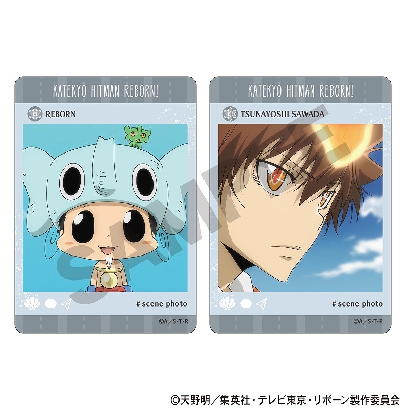 ��ͽ����3�����ȯ���۲������եҥåȥޥ�REBORN!���ȥ졼�ǥ��󥰥ѥΥ�ޥ��ɡ�����ʪ