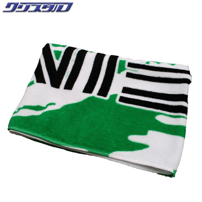 テイン TEIN スポーツタオル TN024-002