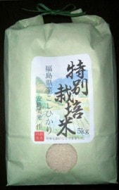 �������������5ǯ�� ���̺����Ƥ����Ҥ��� ���ơ�