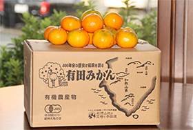 �������Ϥβ��ͭ��ͭ�Ĥߤ���״�̣�Ȼ�̣��Ĵ�¤������β��������ߤ����̣�٢����ᾦ�ʢ�