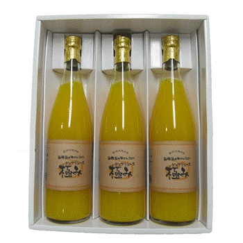 �������Ϥβ��ͭ�Ĥߤ���100�󥸥塼���ضˤߡ١�720ml�ӡ�3�����ꥮ�ե�