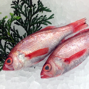 ����ʪ�����ṾĮ�Ծ�θ����ʡ֤Τɤ���(����)��(��1kg/��2kg)