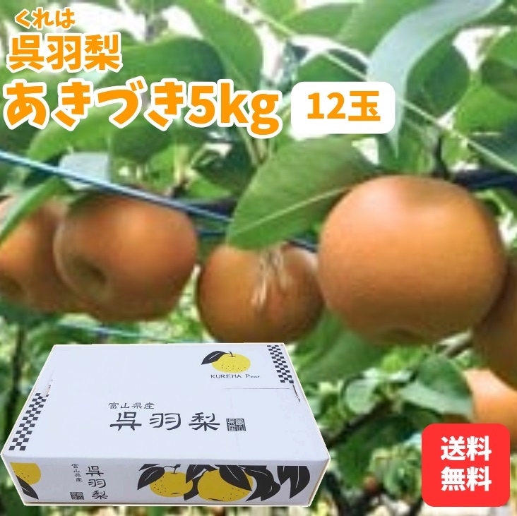 ������7ǯʬ ���ս�λ�ۻ�ë�����ࡧ�Ⱪ���֤����Ť� 5kg��12�̡�
