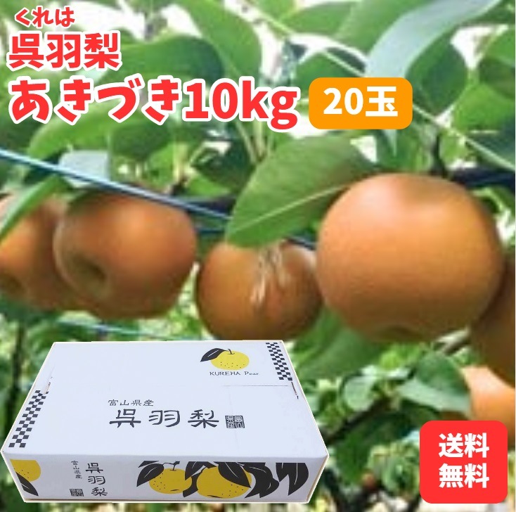 ������7ǯʬ ���ս�λ�ۻ�ë�����ࡧ�Ⱪ���֤����Ť� 10kg��20�̡�