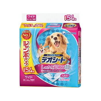 ��˥��㡼��֥ǥ������ȥ����ܣ� �磻��54���4��