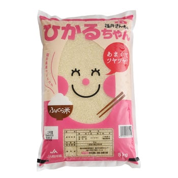 福井県産コシヒカリ 福井県産コシヒカリ5kg（令和6年産） – 大本山永平寺御用達 米五