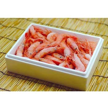 �����建����������ų�Ϸ��