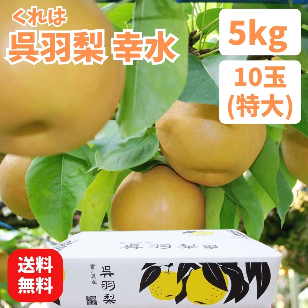 専用］呉羽梨 新高 10kg 減農薬有機栽培 規格外 302
