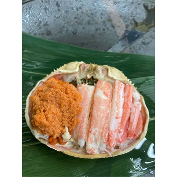 �����ᾦ�ʢ��дݴ֤ۡ��������ˡ��������ꥻ�å�(3��/5��)��