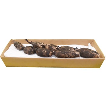 ���������ե롼�ġֲò��󤳤�2������(��1.6kg)�ע����ᾦ�ʢ�