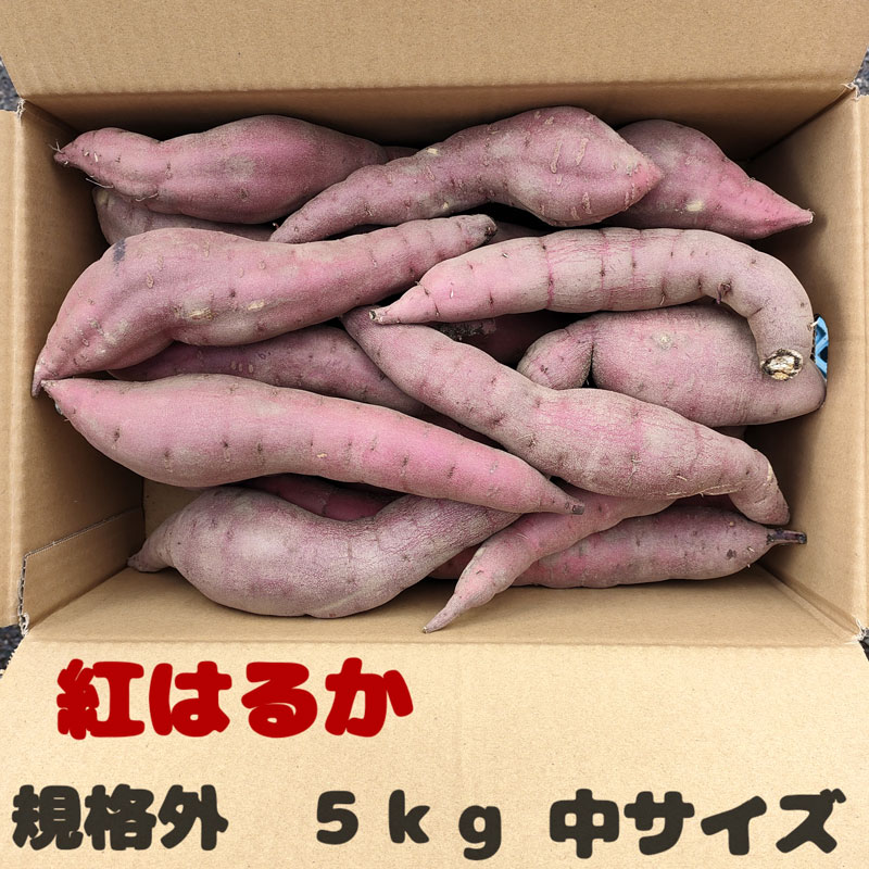 ֢ܺʳȤϤ뤫(Ĥޤ) 桡5kg(20)ľ ᾦʢ