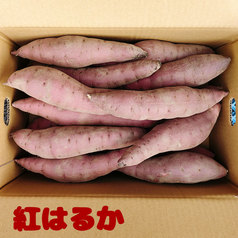 ֹܺȤϤ뤫(Ĥޤ) S5kg(30)ľ ᾦʢ
