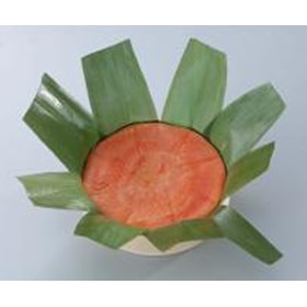 ��ζ�á֤ޤ���Ų��� �����ν��餫�����֥�˥塼