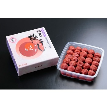 ʡߴߴʤҡ620JAʡ温