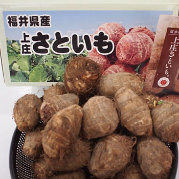 Ĳ̡־徱Τ3kgȢעᾦʢ