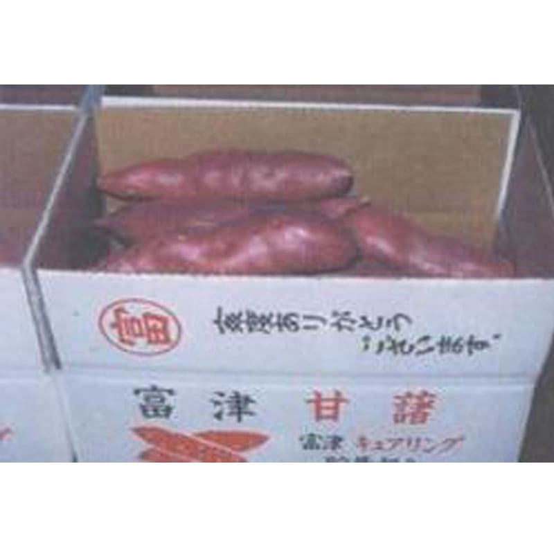真栄青果：富津（とみつ）金時 5kg L/M ※季節商品※のお取り寄せは百