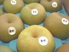 �����Ĳ̡�ʡ�桦���Ĺ��� ������10kg�ʾ岽��Ȣ ��̢����ᾦ�ʢ�