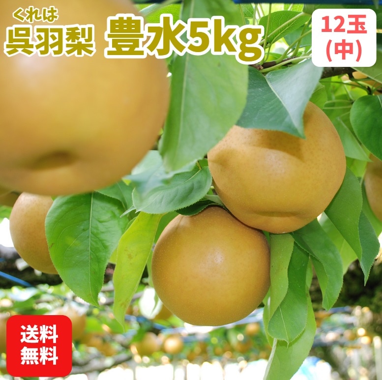 ������7ǯ��ͽ�����/�������Բġۻ�ë�����ࡧ�Ⱪ����˭�� 5��硦12��(��)��