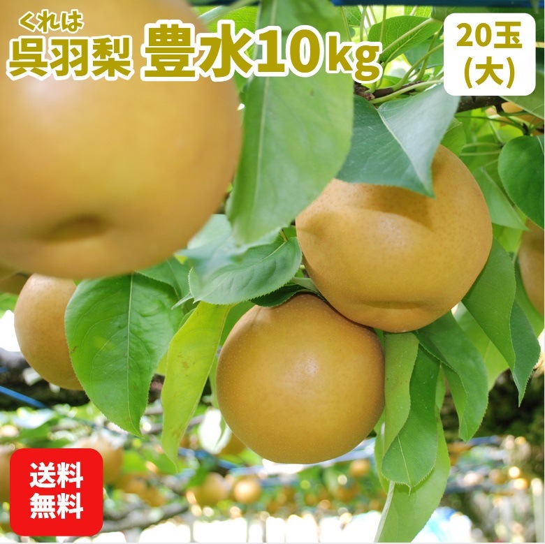 ������7ǯ��ͽ�����/�������Բġۻ�ë�����ࡧ�Ⱪ����˭�� 10��硦20�̡���)��