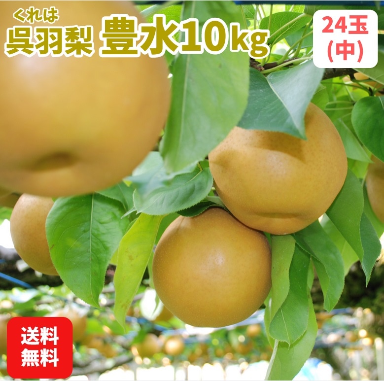 ������7ǯ��ͽ�����/�������Բġۻ�ë�����ࡧ�Ⱪ����˭�� 10��硦24��(��)��