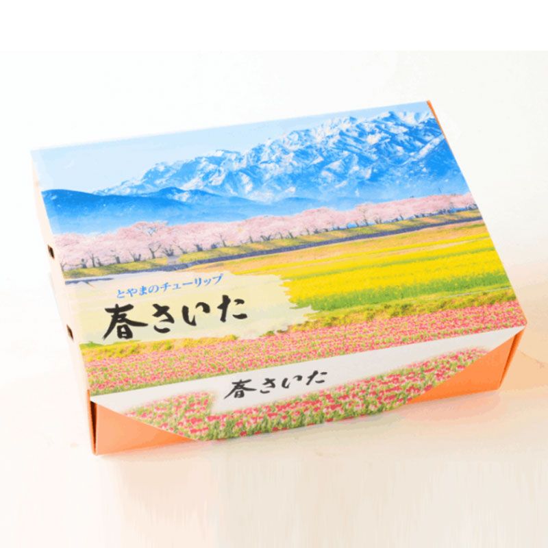 ͽբ դٻȥ塼å׵庬åȡ֢ᾦʢ