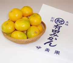 ͽբ Ĭ뵪鼫ηäߡͭĤߤ5kg(M)ȢסޥĲ̡²λ ᾦʢ