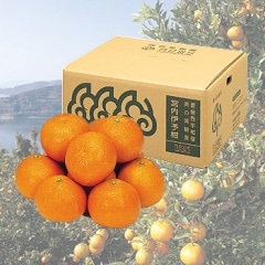 ɲ »ֵ⤤褫(L2L3L)5kg/⥸塼˧ʹȴ̣ ᾦʢ