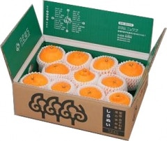 ɲ֤̤ʥǥݥˡסʣ̡2̡3̥ˣ/̣Ȼ̣̯ʥХ ᾦʢ