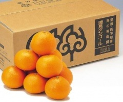 ��ɲ�������������󥴡���ס�L��2L��3L��������3kg/�����Ͻ������̽���¿�����塼���� �����ᾦ�ʢ�