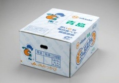 ��ͽ����բ� �����Ĳ̡��������ߤ��� 4kg L/M���Ų�����Ȫ��ã�ͥ����դ����Ф�����ˤΤߤ��� �����ᾦ�ʢ�