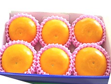 ��沰�ְ�ɲ���ޤ����컺 ���Ȥ� 6������� ���̤β��� �����ᾦ�ʢ�