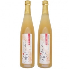 ��������Ʋ��ī�Ҥζ� �����Ϻ� 500ml��2�ܡס�ī�Ҥζ����Ƥ����ˤ����Ť�����Ƽ�