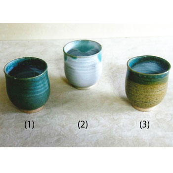 Ҹݡץ塼åפȻΤμξʪ