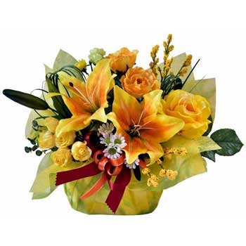 ե㥤ˡ꡼(¤֥󥸥ե)HSG-12