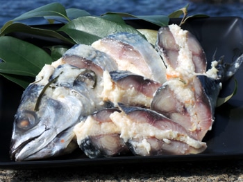 �����ǹ��ֻ��Τʤ줺���� ���Ȼ������߽Ф������ʻݤߤȴ�̣