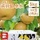 ������7ǯʬ ͽ����ս�λ�ۻ�ë������:�Ⱪ���ֹ��� 5kg��10��(����)��
