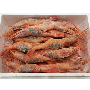 ��������������̫���ڿ建����ŷ�����Ť���1�����(1Ȣ/2Ȣ)��(����Ť���400g/Ȣ)